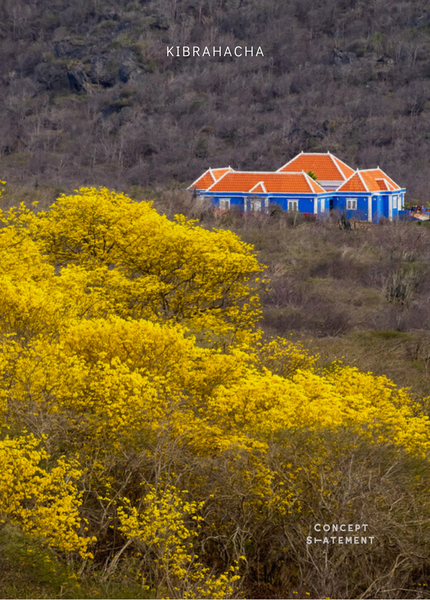 The beautiful blooming kibrahacha curacao